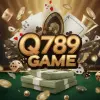 q789 game